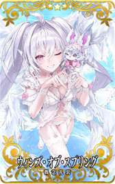 画像ギャラリー No.017のサムネイル画像 / 「FGO ARCADE」，サーヴァント・ブートキャンプ！を9月21日より復刻開催