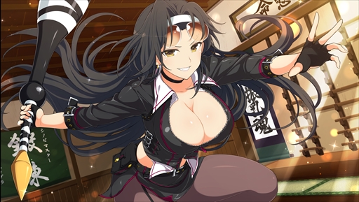 画像ギャラリー No.010のサムネイル画像 / 「シノビマスター 閃乱カグラ NEW LINK」，「ハイスクールD×D HERO」のコラボイベント第3弾後半戦を開始