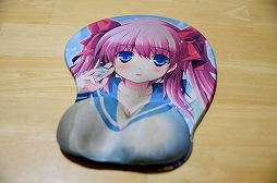 画像ギャラリー No.001のサムネイル画像 / 10年以上使っていたマウスパッドがぼろぼろになったので，3万円もするマウスマッドを購入してみた（「買い物Surfer」第9回）