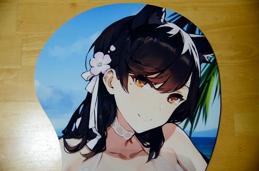 画像ギャラリー No.003のサムネイル画像 / 10年以上使っていたマウスパッドがぼろぼろになったので，3万円もするマウスマッドを購入してみた（「買い物Surfer」第9回）