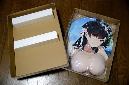 画像ギャラリー No.005のサムネイル画像 / 10年以上使っていたマウスパッドがぼろぼろになったので，3万円もするマウスマッドを購入してみた（「買い物Surfer」第9回）