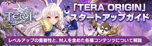 画像ギャラリー No.045のサムネイル画像 / 【PR】「TERA ORIGIN」（テラオリジン）スタートアップガイド。レベルアップの重要性と，対人を含めた各種コンテンツについて解説