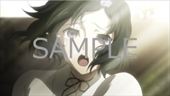 画像ギャラリー No.016のサムネイル画像 / 「STEINS;GATE ELITE」の初回特典が発表。Switch版がファミコン風ADV「シュタゲ」，PS4版とVita版がフルHD版「フェノグラム」に決定
