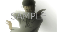 画像ギャラリー No.017のサムネイル画像 / 「STEINS;GATE ELITE」の初回特典が発表。Switch版がファミコン風ADV「シュタゲ」，PS4版とVita版がフルHD版「フェノグラム」に決定