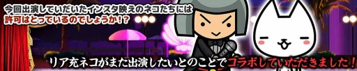 画像ギャラリー No.002のサムネイル画像 / 「ぼくとネコ」で新イベント“インスタ映え”が開催。RTキャンペーンを実施
