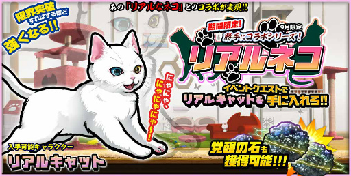 画像ギャラリー No.001のサムネイル画像 / 「ぼくとネコ」，“リアルネコ”とのコラボイベントがスタート
