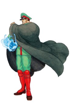 画像ギャラリー No.034のサムネイル画像 / 「ストリートファイター 30th アニバーサリーコレクション インターナショナル」，プロフィールとメイキング機能の情報を公開