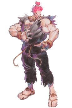 画像ギャラリー No.040のサムネイル画像 / 「ストリートファイター 30th アニバーサリーコレクション インターナショナル」，プロフィールとメイキング機能の情報を公開