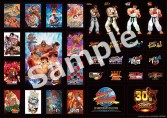 画像ギャラリー No.004のサムネイル画像 / 「鬼武者」など3タイトルが遊べる店頭体験会が追加開催。12月1日と2日，ビックカメラ あべのキューズモール店にて
