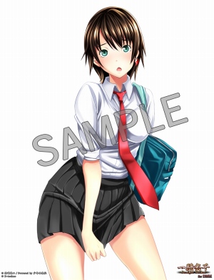 画像ギャラリー No.010のサムネイル画像 / 「一騎当千 〜Straight Striker〜 for DMM」の事前登録を受付中。25日14：00まで