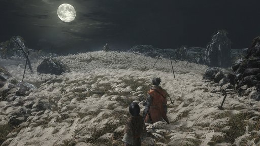 画像ギャラリー No.002のサムネイル画像 / 「SEKIRO: SHADOWS DIE TWICE」と「DARK SOULS」はここが違う。まったく新しいタイトルであることが分かる10のポイント