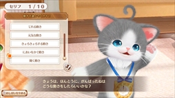 画像ギャラリー No.013のサムネイル画像 / 「ネコ・トモ」，前作「クマ・トモ」からの変更点や新要素を紹介。3DS版とNintendo Switch版の違いも