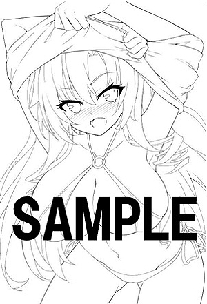 画像ギャラリー No.003のサムネイル画像 / 萌えゲーアワード2017大賞の「ノラと皇女と野良猫ハート2」がPS4とSwitch，PS Vitaで2019年2月28日発売へ。アニメイト限定セットも
