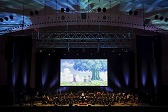 画像ギャラリー No.004のサムネイル画像 / 「テイルズ オブ オーケストラコンサート〜25th Anniversary〜」のオンライン配信チケットが販売開始