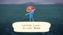 画像ギャラリー No.014のサムネイル画像 / 「あつまれ どうぶつの森」で海開き！　島の周囲の海を泳げる新バージョンで海水浴を楽しんだ