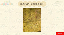 画像ギャラリー No.031のサムネイル画像 / ［CEDEC 2020］「あつまれ　どうぶつの森」のアートができるまで。語りすぎない日常の画面はこうして作られた