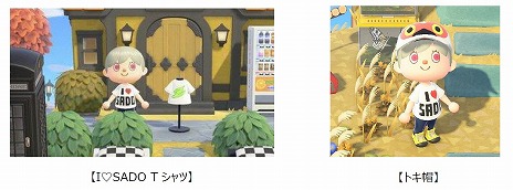 画像ギャラリー No.005のサムネイル画像 / 「あつまれ どうぶつの森」でバーチャル佐渡観光！ 新潟県佐渡市が“さどが島（しま）”を本日公開。“トキ帽”などのマイデザインも
