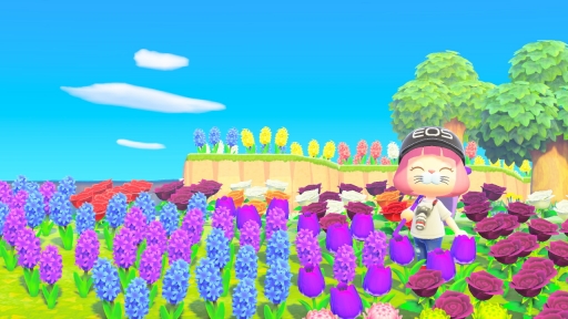画像ギャラリー No.103のサムネイル画像 / 「あつまれ どうぶつの森」1周年企画。第2回は，数多く公開されたマイデザインや夢番地などから“島の外での盛り上がり”を振り返る