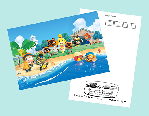 画像ギャラリー No.009のサムネイル画像 / 「あつまれ どうぶつの森」のリアルイベント「海のいきもの ふれあい展」，6月15日から9月18日まで開催。リュウグウノツカイの標本など展示