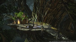 画像ギャラリー No.007のサムネイル画像 / 吉田直樹氏による「ファイナルファンタジーXIV」ファンイベントの基調講演をレポート。フェイスやワールド間テレポ，新種族，青魔道士の追加が発表