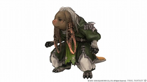 画像ギャラリー No.011のサムネイル画像 / 吉田直樹氏による「ファイナルファンタジーXIV」ファンイベントの基調講演をレポート。フェイスやワールド間テレポ，新種族，青魔道士の追加が発表