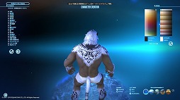 画像ギャラリー No.005のサムネイル画像 / 「FFXIV：漆黒のヴィランズ」ベンチマークで新種族のキャラメイクをやってみよう。僕の考えた最強の「ロスガル」と「ヴィエラ」を見てくれ
