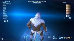 画像ギャラリー No.006のサムネイル画像 / 「FFXIV：漆黒のヴィランズ」ベンチマークで新種族のキャラメイクをやってみよう。僕の考えた最強の「ロスガル」と「ヴィエラ」を見てくれ