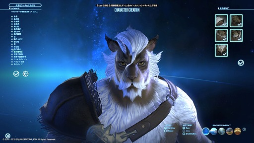 画像ギャラリー No.008のサムネイル画像 / 「FFXIV：漆黒のヴィランズ」ベンチマークで新種族のキャラメイクをやってみよう。僕の考えた最強の「ロスガル」と「ヴィエラ」を見てくれ