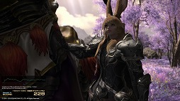 画像ギャラリー No.022のサムネイル画像 / 「FFXIV：漆黒のヴィランズ」ベンチマークで新種族のキャラメイクをやってみよう。僕の考えた最強の「ロスガル」と「ヴィエラ」を見てくれ