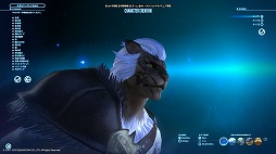 画像ギャラリー No.025のサムネイル画像 / 「FFXIV：漆黒のヴィランズ」ベンチマークで新種族のキャラメイクをやってみよう。僕の考えた最強の「ロスガル」と「ヴィエラ」を見てくれ