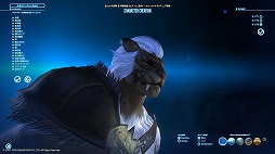 画像ギャラリー No.026のサムネイル画像 / 「FFXIV：漆黒のヴィランズ」ベンチマークで新種族のキャラメイクをやってみよう。僕の考えた最強の「ロスガル」と「ヴィエラ」を見てくれ