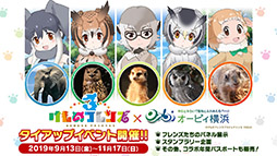 画像ギャラリー No.013のサムネイル画像 / アプリ版＆アーケード版「けものフレンズ3」のOP映像やショートアニメの最新話が公開に。本日実施された公式生放送の模様をレポート