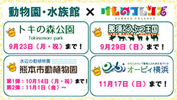 画像ギャラリー No.014のサムネイル画像 / 「けもフレ3」，事前登録数15万件達成に伴い，ゲーム内キャラ「トキ」の配付が決定。ログインボーナス情報なども発表された公式生放送の模様をレポート