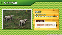 画像ギャラリー No.012のサムネイル画像 / アプリ版「けもフレ3」に登場する「タイリクオオカミ」「ヒツジ」の詳細や,アニメ「ちょこけも」の新章が公開に。公式生放送で発表された最新情報を一挙掲載