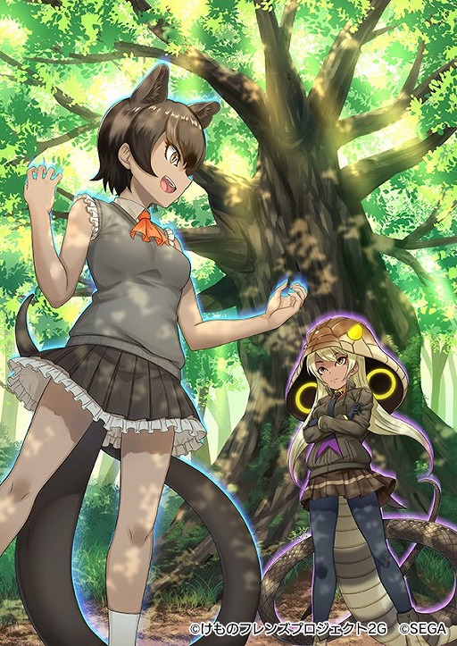 画像ギャラリー No.009のサムネイル画像 / 「けものフレンズ3」，イベント“体力測定 ホワイトライオン編”を開催。★4ホワイトライオンが手に入る期間限定しょうたいも