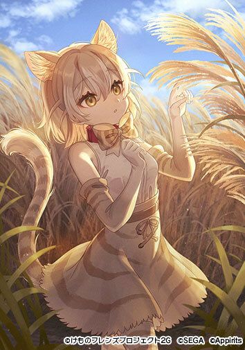 画像ギャラリー No.006のサムネイル画像 / 「けものフレンズ3」にイエイヌ（シベリアンハスキー）が新登場。体力測定イベントも同時開催
