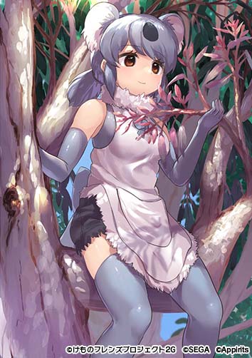 画像ギャラリー No.008のサムネイル画像 / 「けものフレンズ3」，イベント“体力測定 コアラ編”開催