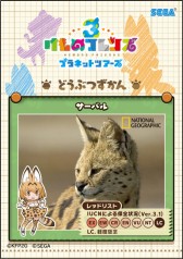 画像ギャラリー No.006のサムネイル画像 / 「けものフレンズ3 プラネットツアーズ」のロケテストが7月9日より都内3店舗で実施決定。データとカードは製品版に引き継ぎ可能