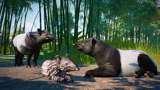 画像ギャラリー No.005のサムネイル画像 / 動物園運営シム「Planet Zoo」，シナリオや新機能を追加するアップデートを実施。東南アジアの動物を追加するDLCの販売も開始