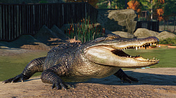 画像ギャラリー No.007のサムネイル画像 / 動物テーマパーク運営シム「Planet Zoo」に，北米の動物たちを追加する“North America Animal Pack”がリリース