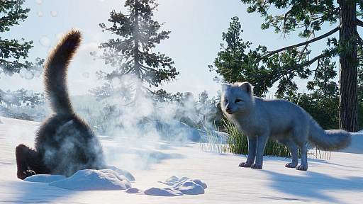画像ギャラリー No.008のサムネイル画像 / 動物テーマパーク運営シム「Planet Zoo」に，北米の動物たちを追加する“North America Animal Pack”がリリース