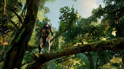 画像ギャラリー No.002のサムネイル画像 / ［gamescom］「Predator: Hunting Grounds」のゲームプレイトレイラーが公開。特殊部隊とプレデターによる非対称型対戦ゲーム