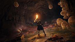 画像ギャラリー No.015のサムネイル画像 / フロム・ソフトウェアの新作アクションRPG「Elden Ring」は，2022年1月21日に発売。インゲームシーンが確認できる最新トレイラーも