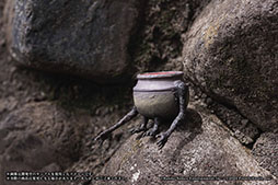 画像ギャラリー No.011のサムネイル画像 / 「ELDEN RING 小壺フィギュア」，本日より順次リリース。ポーズの異なる「生きている小壺」やクリアパーツの「特攻野郎たちの遺灰」を用意