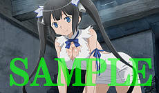 画像ギャラリー No.019のサムネイル画像 / 「ダンまち インフィニト・コンバーテ」，ヘスティア（CV.水瀬いのり）がナレーションを務める最新PVが公開。店舗別特典の続報も