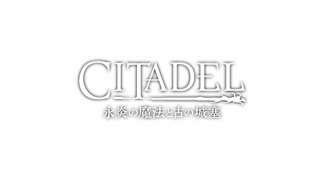 画像ギャラリー No.006のサムネイル画像 / オープンワールド魔法サバイバルアクション「シタデル：永炎の魔法と古の城塞」の日本語ローカライズ版がPS4向けに今冬発売決定