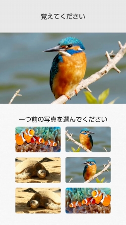 画像ギャラリー No.010のサムネイル画像 / 「脳を鍛える大人のNintendo Switchトレーニング」を紹介。頭と手を同時に使う楽しさや，継続が力に変わる感覚が得られる「脳トレ」最新作