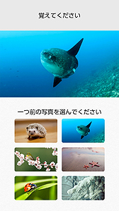 画像ギャラリー No.011のサムネイル画像 / 「脳トレ」最新作「脳を鍛える大人のNintendo Switchトレーニング」は明日発売。Joy-Conを使った新しいトレーニングも収録