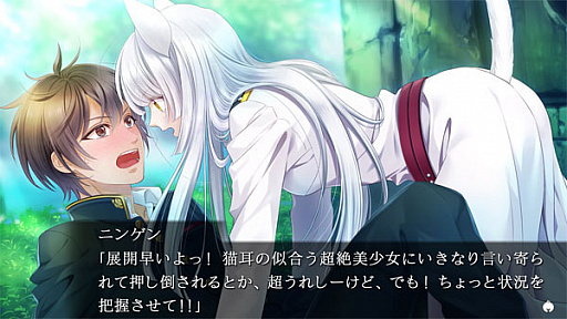 画像ギャラリー No.005のサムネイル画像 / あみあみ，限定特典付きSwitch版「軍靴をはいた猫」の予約を受付中