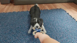画像ギャラリー No.008のサムネイル画像 / PC向け愛犬育成シミュレーション「Dog Trainer」が配信決定。トレーニング風景を収録したティザートレイラーを公開